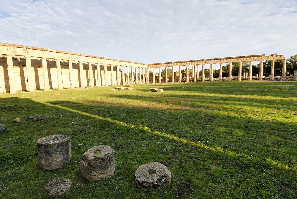 Gymnasium and forum, Cyrene, UNESCO World Heritage Site, Libya, North Africa, Africa