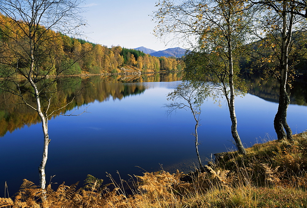 Loch Tummel, near Pitlochry, Tayside, Scotland, United Kingdom, Europe