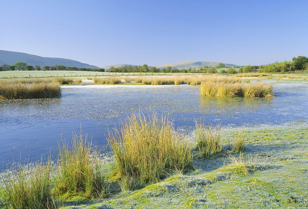 Brecon Beacons National Park, Powys, Wales, UK, Europe