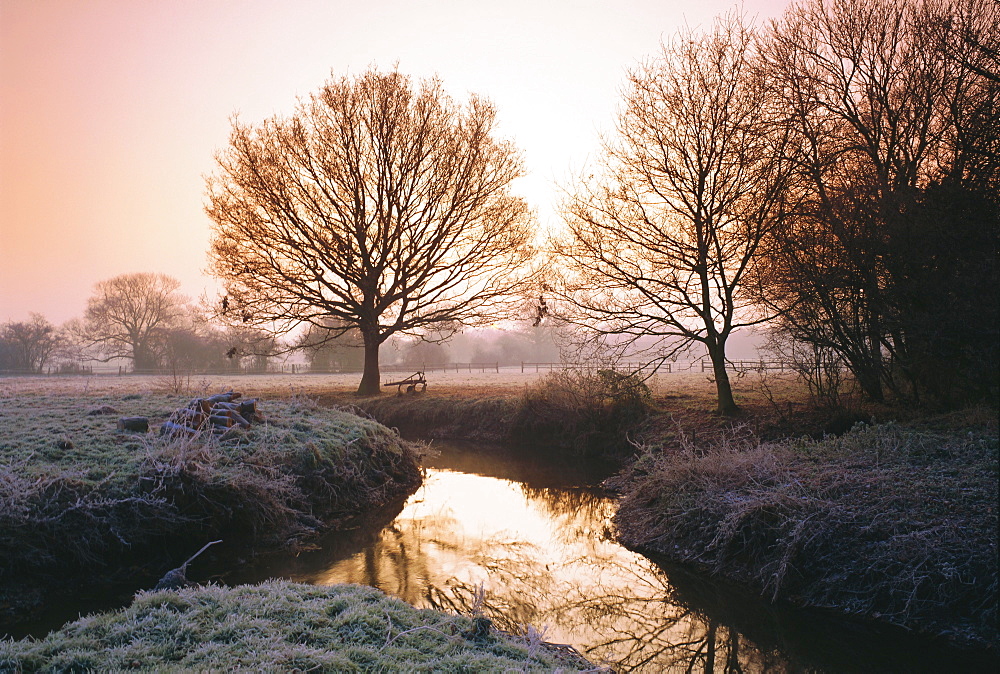 Winter dawn on the River Bourne, Chobham, Surrey, England, UK