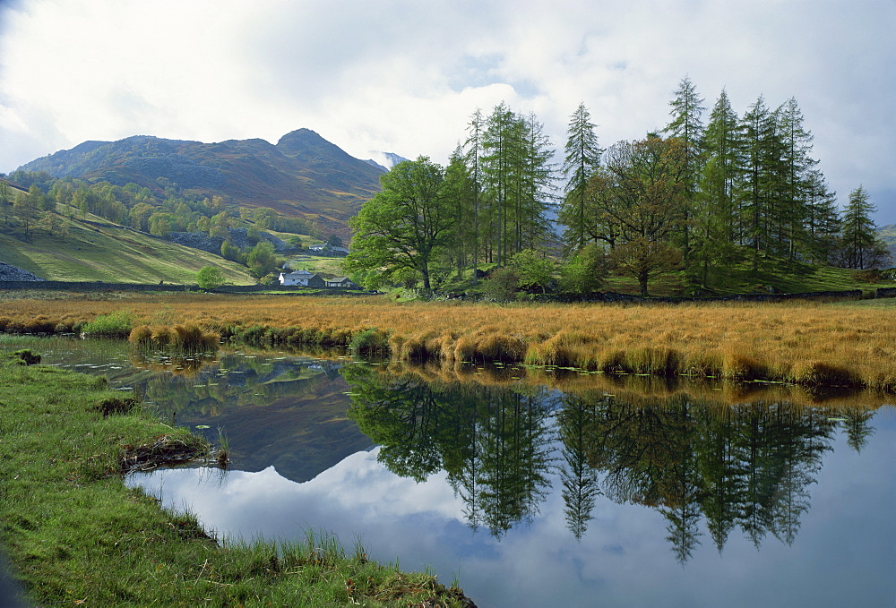 Little Langdale, Lake District National Park, Cumbria, England, United Kingdom, Europe