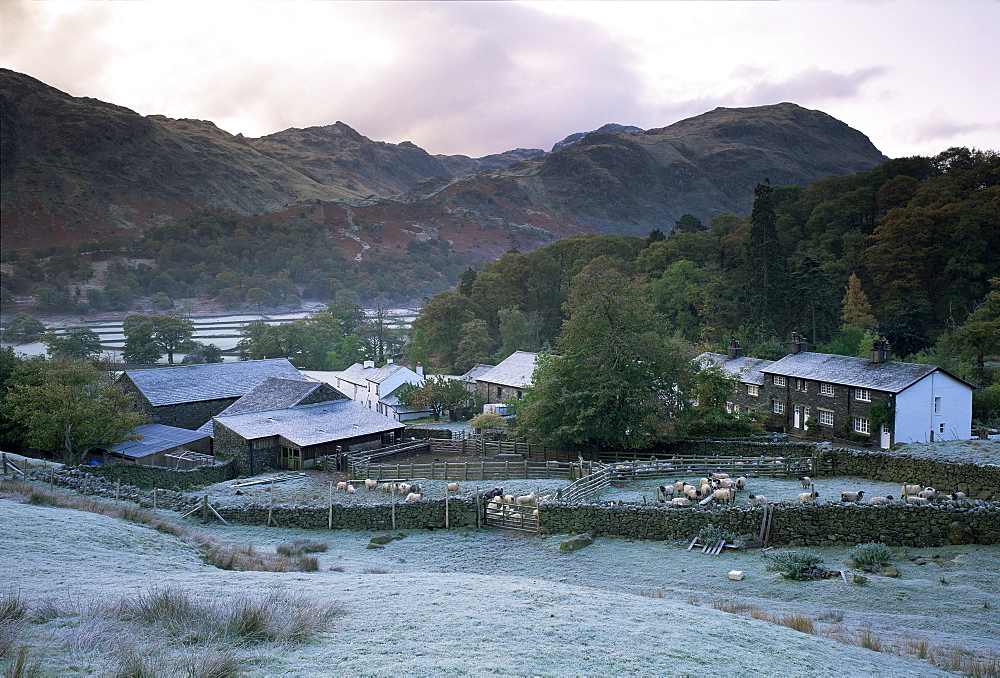 Seatoller Farm and cottages, Lake District National Park, Cumbria, England, United Kingdom, Europe