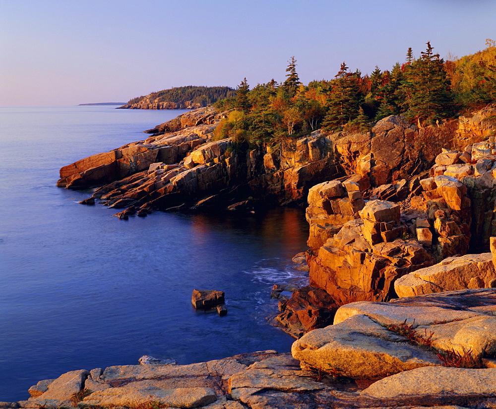 Rocky shoreline, Acadia National Park, Maine, New England, USA