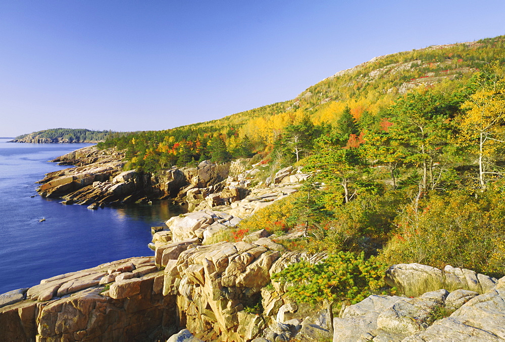 Acadia national park coastline, Maine, New England, USA, North America