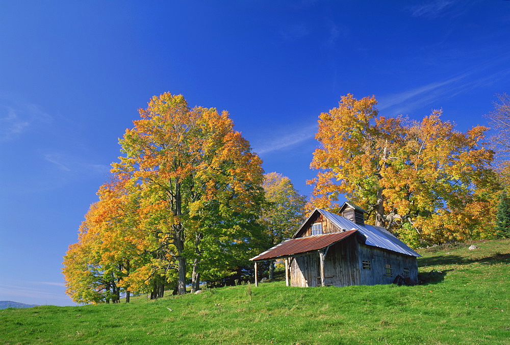 Wooden barn building and trees in fall colours, Vermont, New England, United States of America, North America