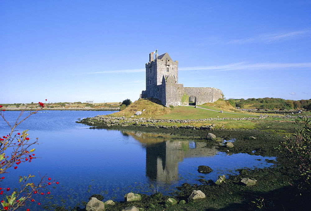 Dunguaire Castle, Kinvarra Bay, County Galway, Connacht, Republic of Ireland (Eire), Europe