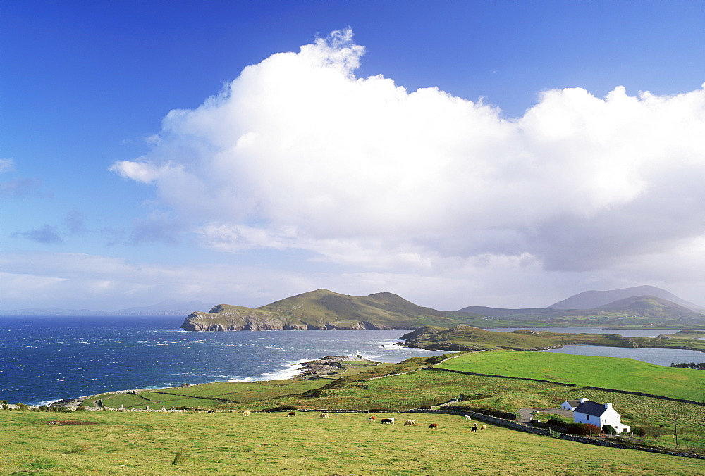 Valentia Island, County Kerry, Munster, Eire (Republic of Ireland), Europe