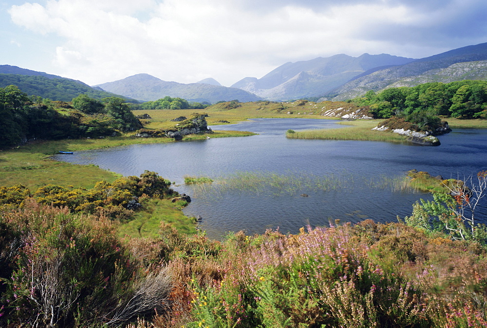 Upper Lake and Macgillycuddy's Reeks, Ring of Kerry, Killarney, County Kerry, Munster, Republic of Ireland (Eire), Europe