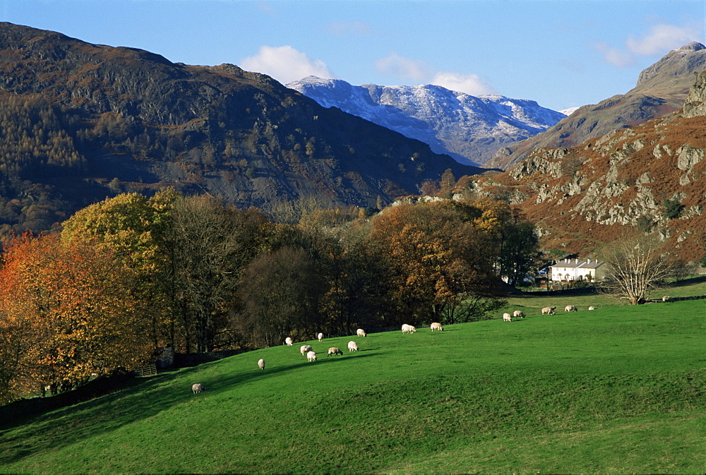 Chapel Stile, Great Langdale, Lake District National Park, Cumbria, England, United Kingdom, Europe