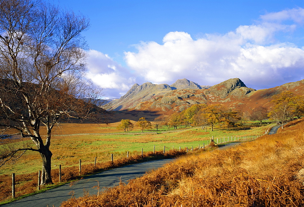 Langdale Pikes from Blea Tarn, Lake District National Park, Cumbria, England, UK