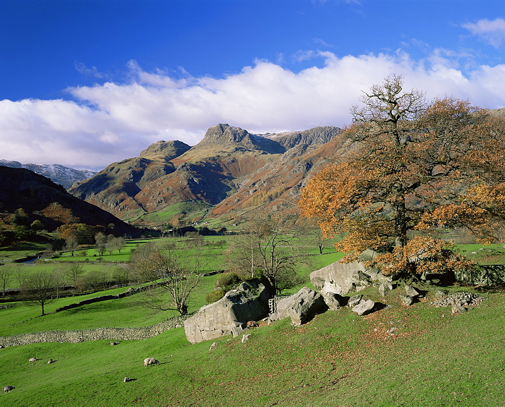 Langdale Pikes from Great Langdale, Lake District National Park, Cumbria, England, United Kingdom, Europe