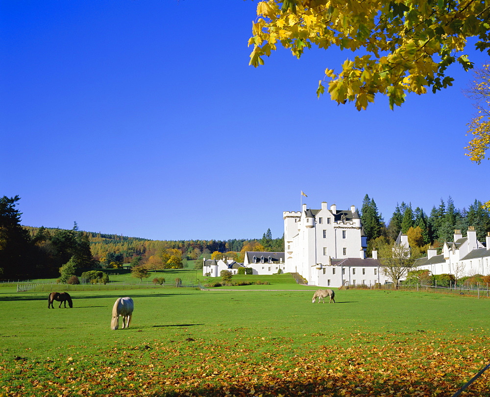 Blair Castle, Blair Atholl, Tayside, Scotland, UK, Europe