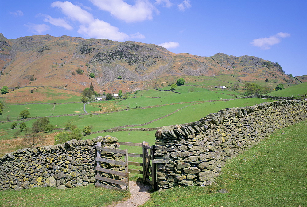 Stone wall, fields and Lingmoor Fell, Little Langdale, Lake District, Cumbria, England, United Kingdom, Europe