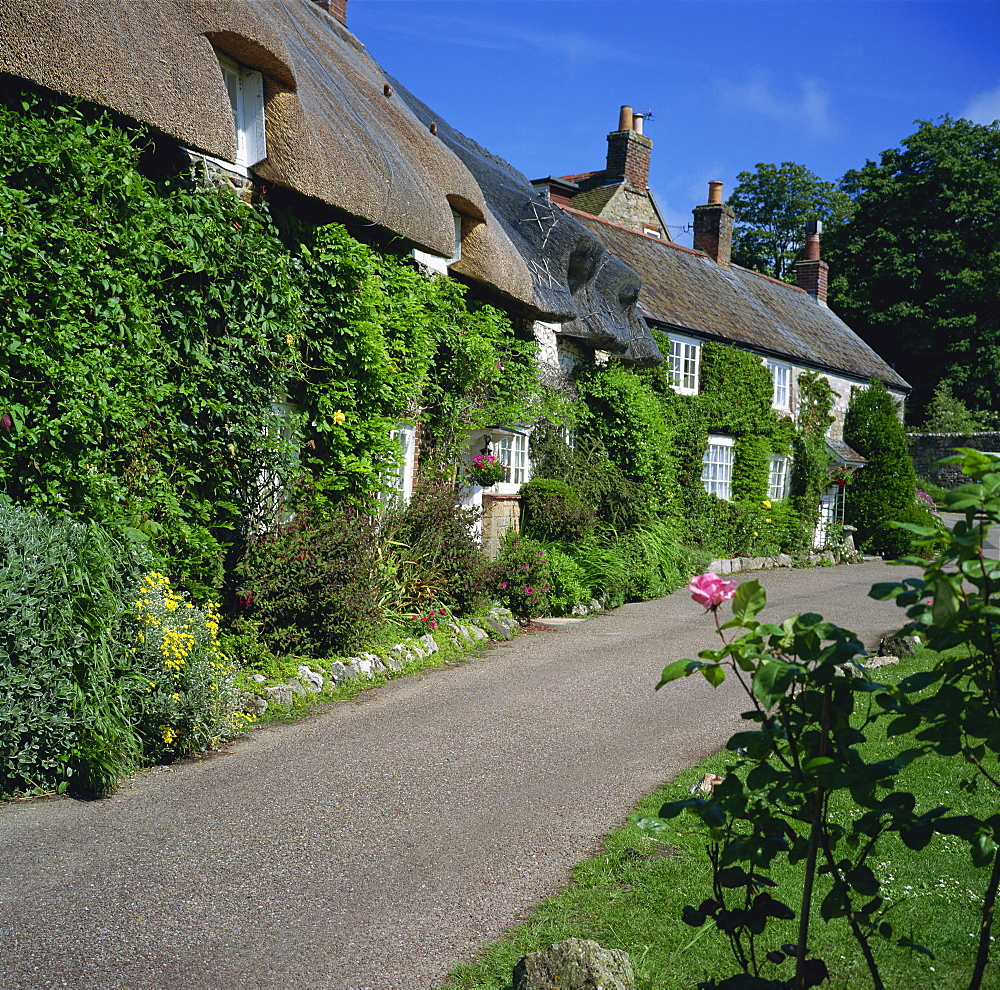 Winkle Street, Calbourne, Isle of Wight, England, United Kingdom, Europe