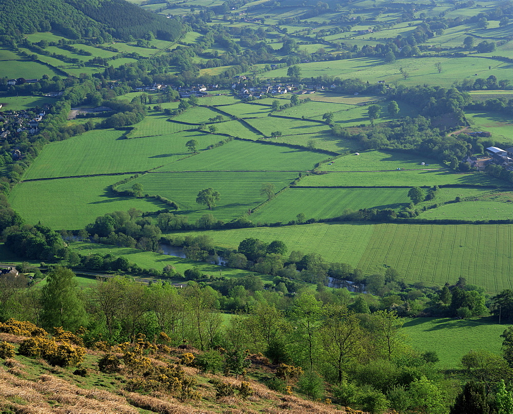 Fields in the valleys, near Brecon, Powys, Wales, United Kingdom, Europe