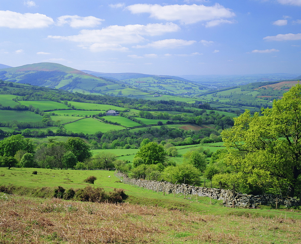 Fields in the valleys near Brecon, Powys, Wales, UK, Europe