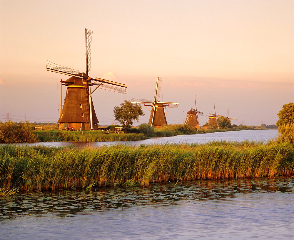 Windmills along the canal, Kinderdijk, Netherlands