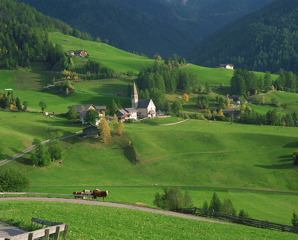 Church, houses and farmland in the Val di Funes in the Dolomites, South Tirol in Trentino Alto Adige region of Italy, Europe