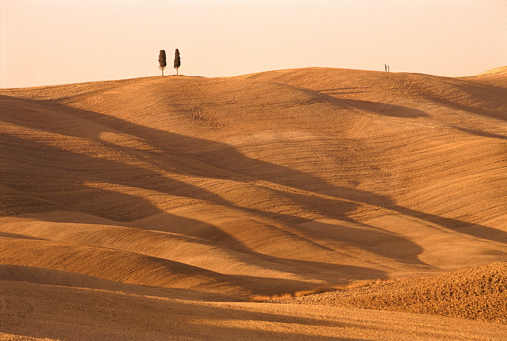 Landscape, Tuscany, Italy, Europe