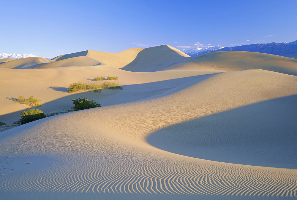 Sand dunes, Death Valley National Monument, California, USA