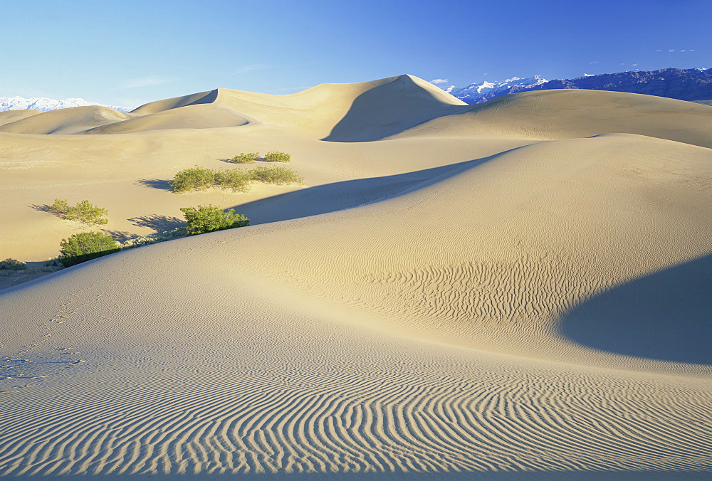 Sand dunes, Death Valley National Monument, California, United States of America, North America