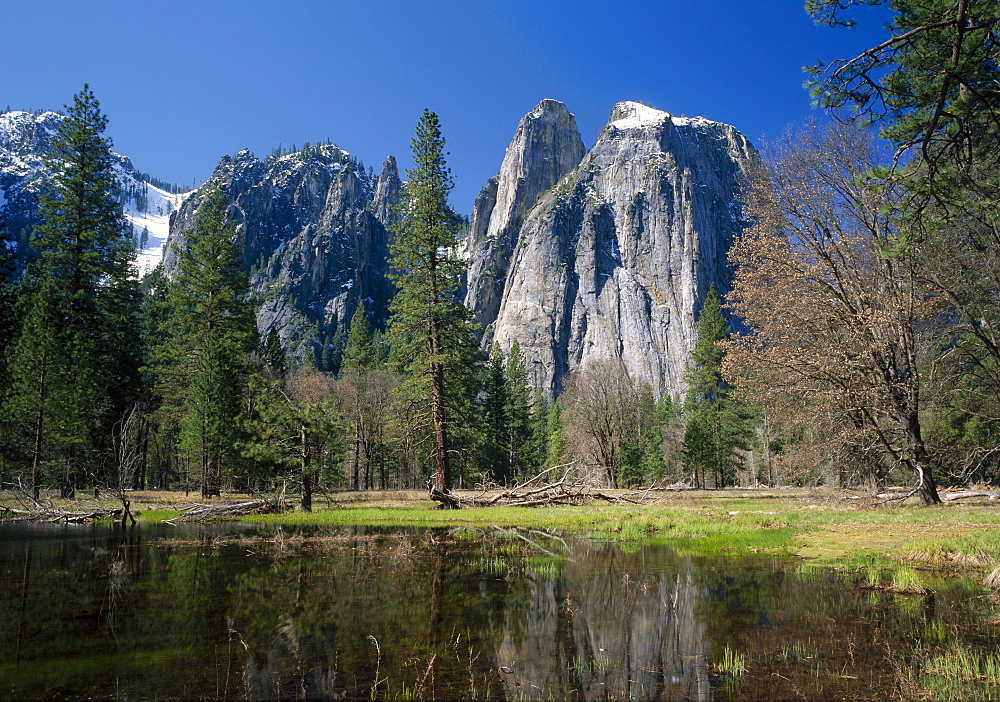 Lake reflecting trees and the Cathedral Rocks in the Yosemite National Park, California, USA 