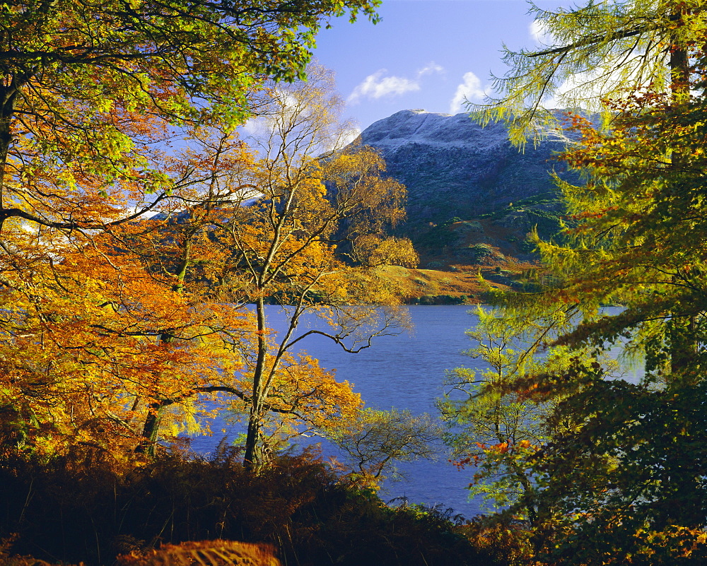 Autumn trees at Ullswater, Lake District National Park, Cumbria, England, UK, Europe