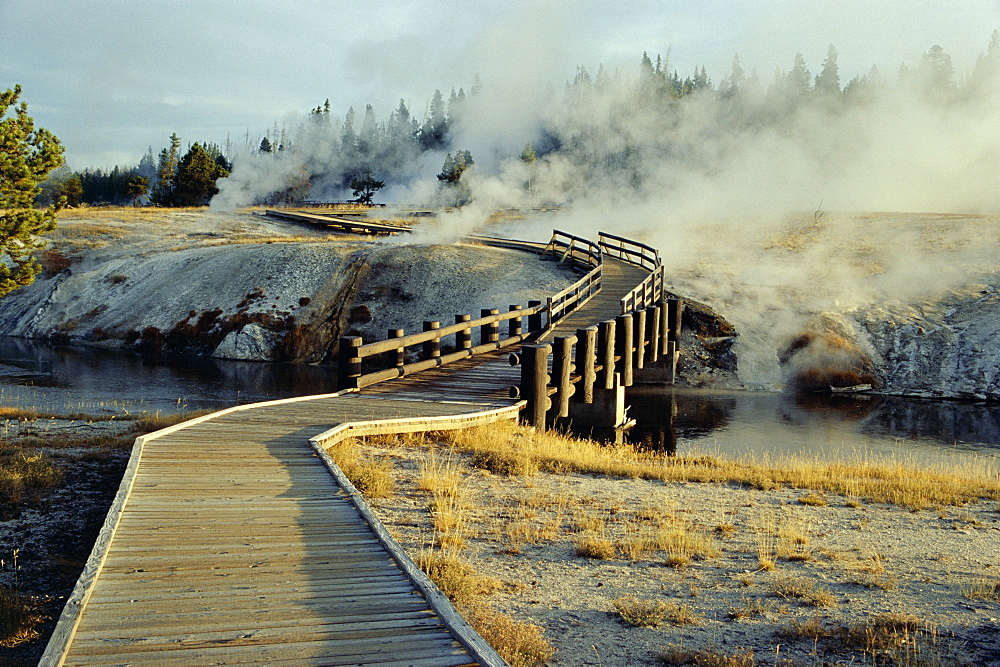 Walkway, Upper Geyser Basin, Yellowstone National Park, UNESCO World Heritage Site, Wyoming, United States of America (U.S.A.), North America