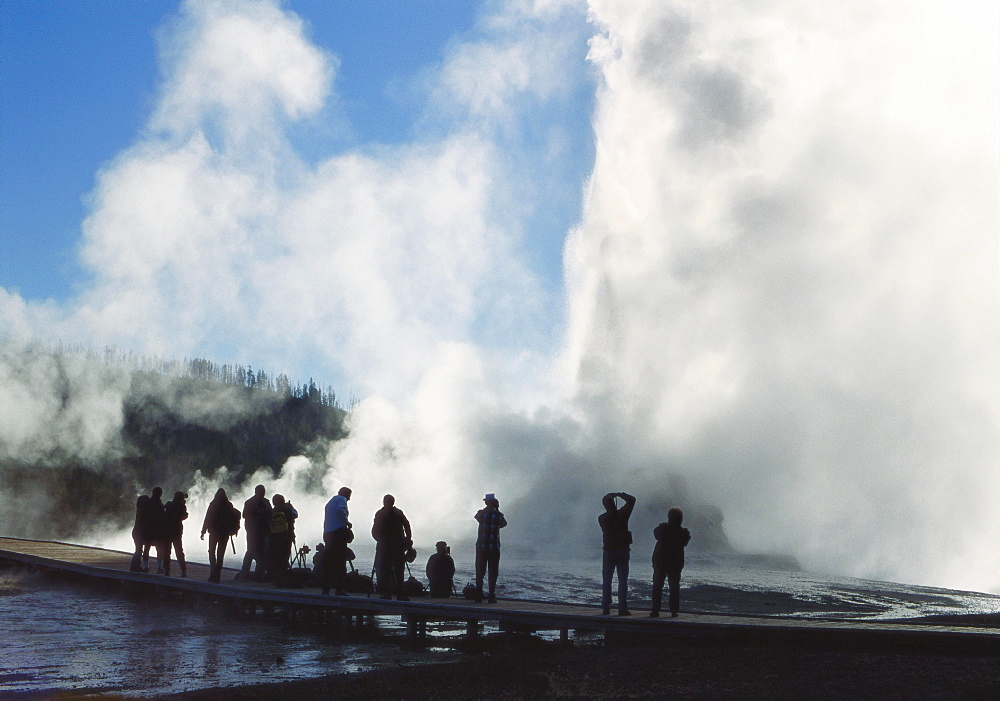 Castle Geyser, Upper Geyser Basin, Yellowstone National park, Wyoming, USA