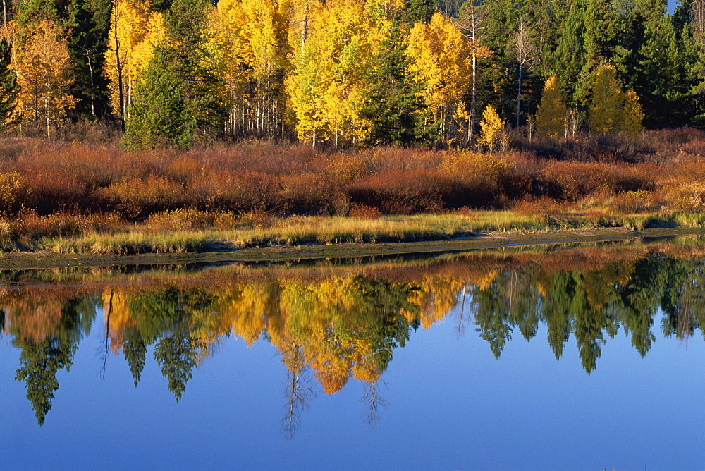 Reflections in Snake River, Grand Tetons National Park, Wyoming, United States of America, North America