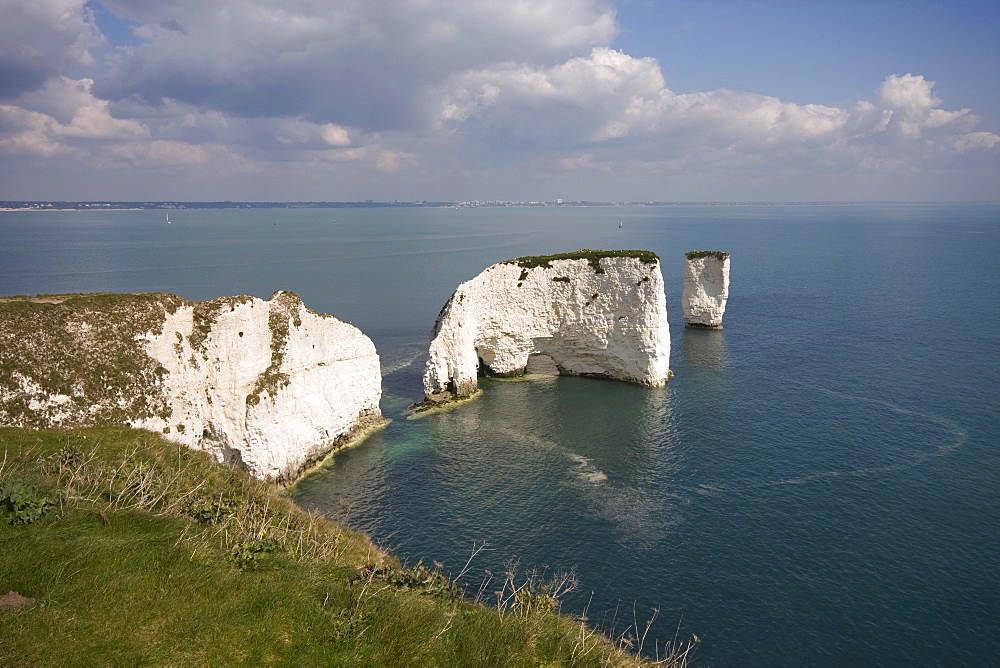 Old Harry Rocks, The Foreland or Handfast Point, Studland, Isle of Purbeck, Dorset, England, United Kingdom, Europe