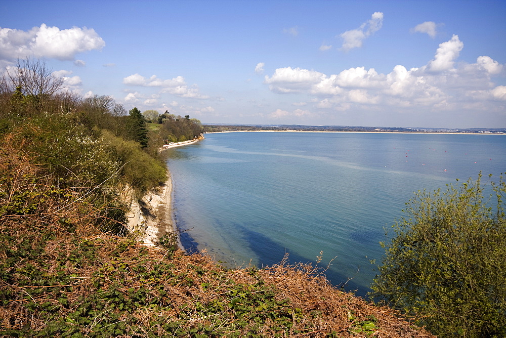 Studland, Poole Bay, Dorset, England, United Kingdom, Europe