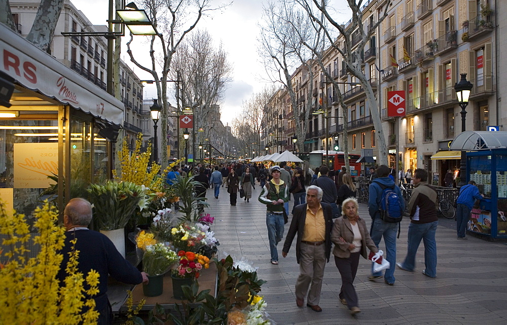 Las Ramblas in the evening, Barcelona, Catalonia, Spain, Europe