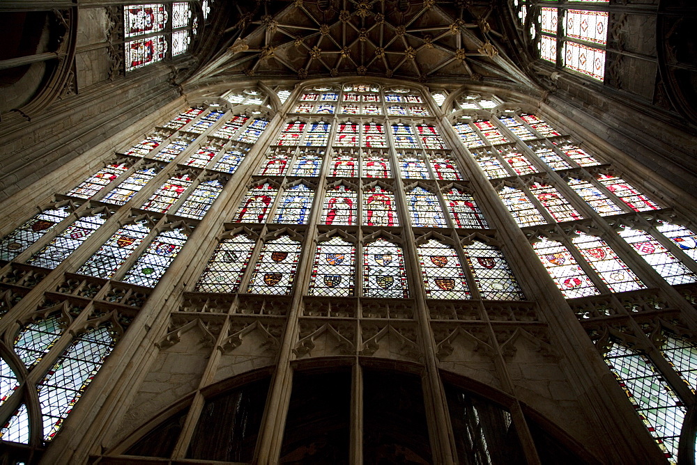 Great East Window looking up, Gloucester Cathedral, Gloucester, Gloucestershire, England, United Kingdom, Europe