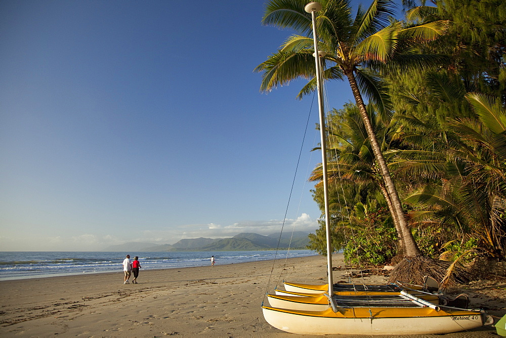 Four Mile Beach with coconut palm trees, Port Douglas, Queensland, Australia, Pacific