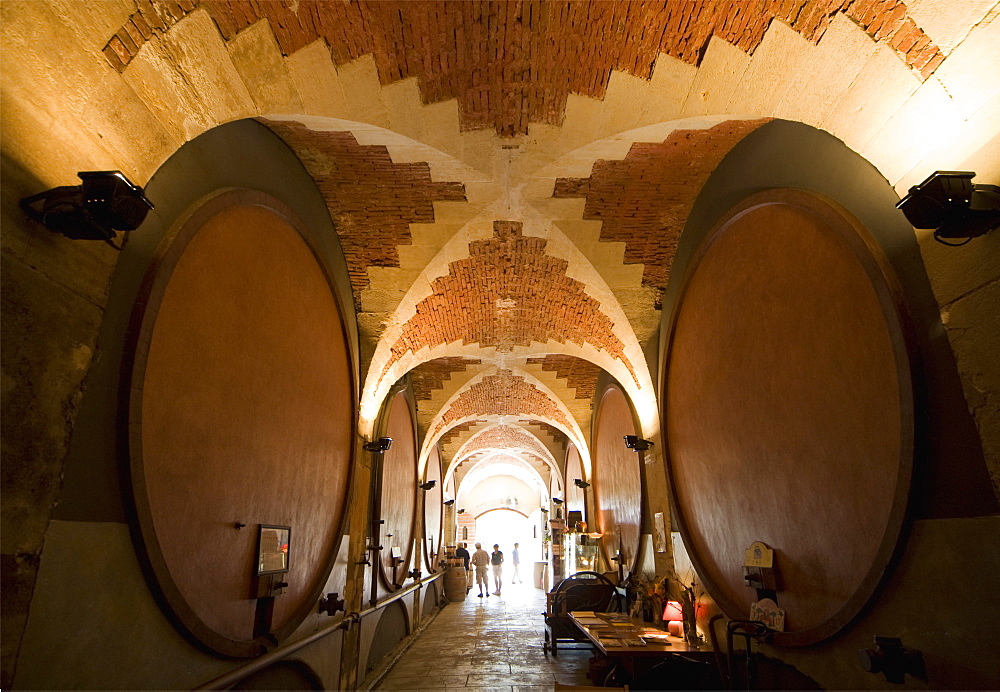 Interior of wine cellar (Caveau) of Chateau de Ventenac-en-Minervois, near Narbonne, Languedoc-Roussillon, France, Europe