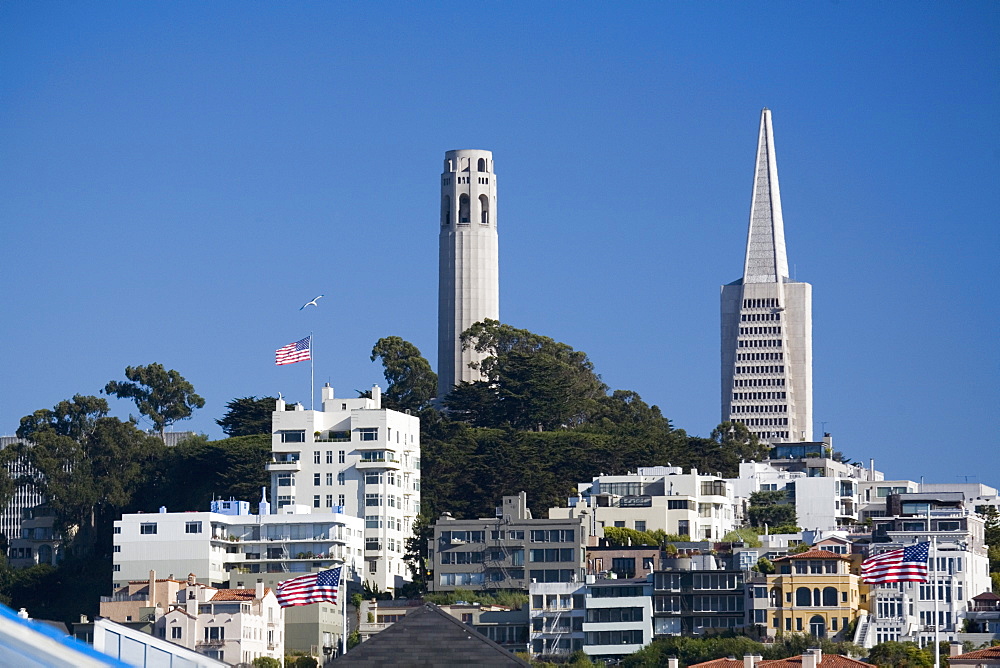 Coit Tower and Transamerica Pyramid, with apartment blocks and three US flags, San Francisco, California, United States of America, North America