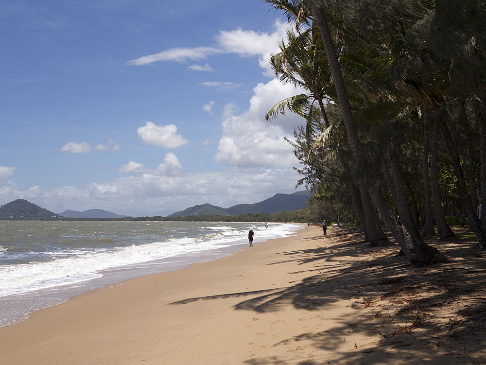 Beach at Palm Cove, Cairns, North Queensland, Australia, Pacific