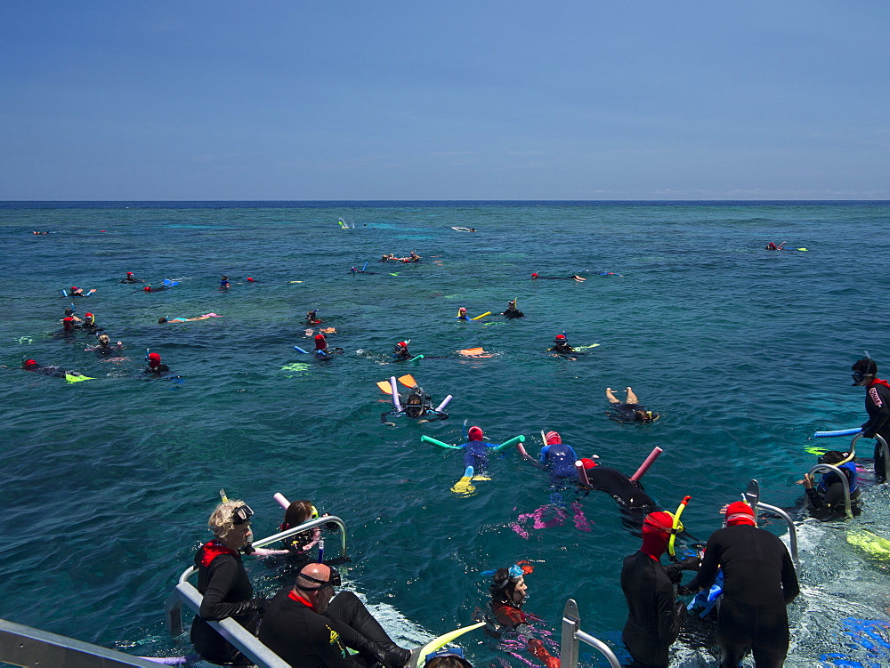 People snorkelling on Outer Great Barrier Reef near Cairns, North Queensland, Australia, Pacific