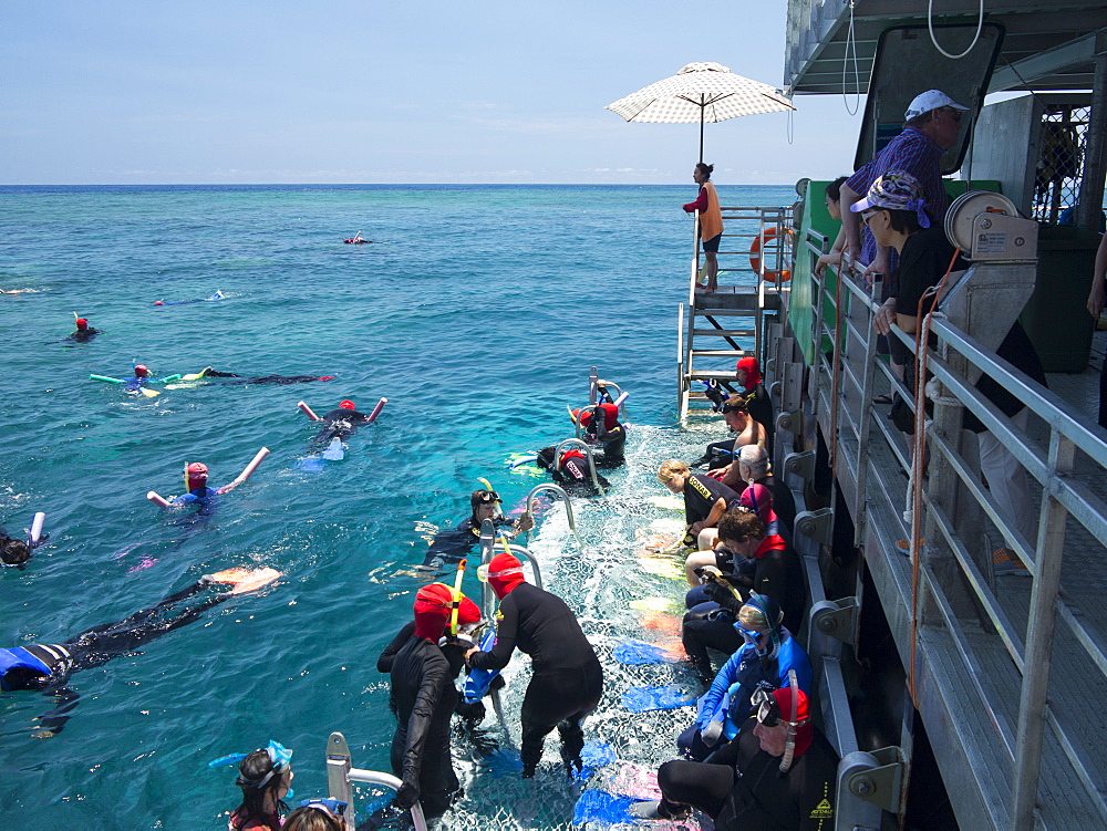 People snorkelling on Outer Great Barrier Reef near Cairns, North Queensland, Australia, Pacific