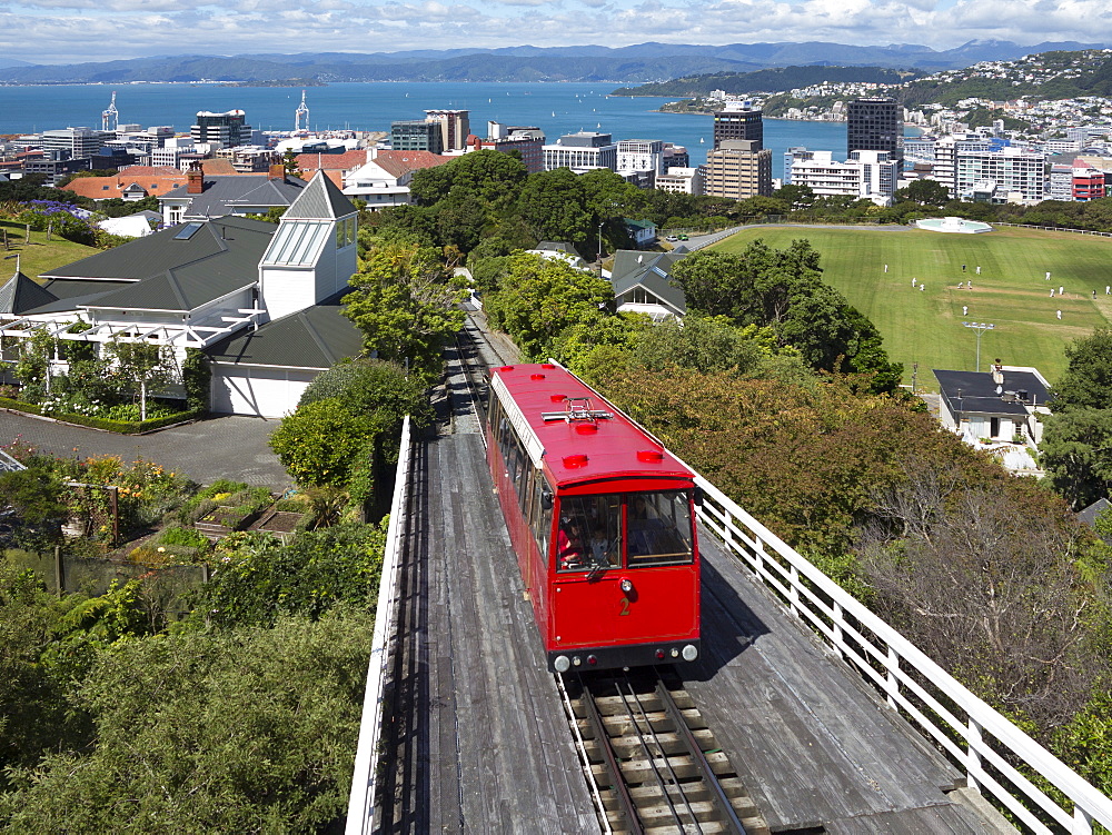 Cable car and view over Wellington city and harbour, North Island, New Zealand, Pacific