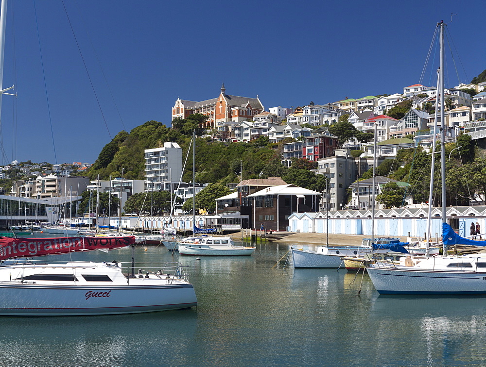 Royal Port Nicholson Yacht Club marina and St. Gerard's Monastery, Oriental Bay, Wellington,  North Island, New Zealand, Pacific