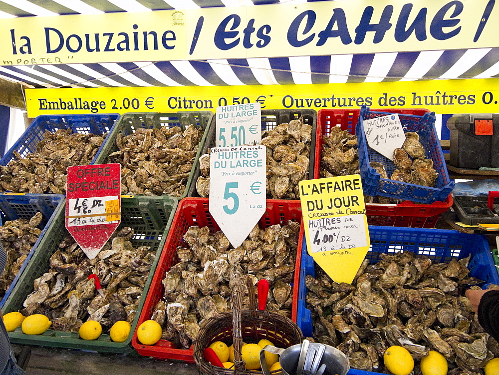 Oysters for sale on market stall, Cancale, Brittany, France, Europe