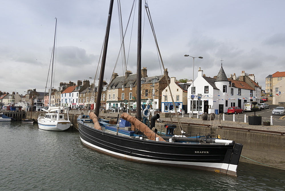 Sailing Herring Drifter moored in harbour, Anstruther, Fife Coast, Scotland, United Kingdom, Europe