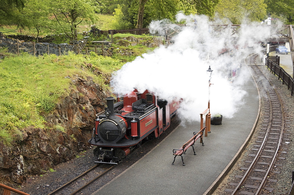 Steam engine Dafydd Lloyd George at Tan-y-Bwlch Station on the Ffestiniog Railway, Wales, United Kingdom, Europe