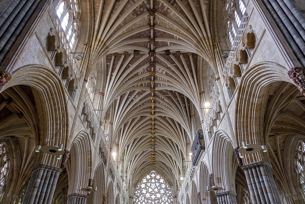 Nave vaulting looking West, Exeter Cathedral, Exeter, Devon, England, United Kingdom, Europe