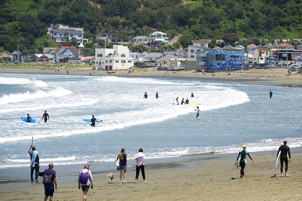 Surfers and walkers, Lyall Bay, Wellington, North Island, New Zealand, Pacific