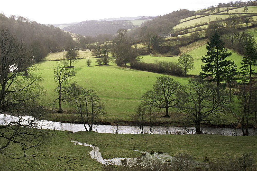 Exmoor, near Withypool, Somerset, England, United Kingdom, Europe