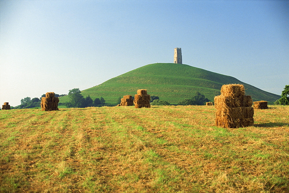 Harvested fields before Glastonbury Tor, Somerset, England, United Kingdom, Europe