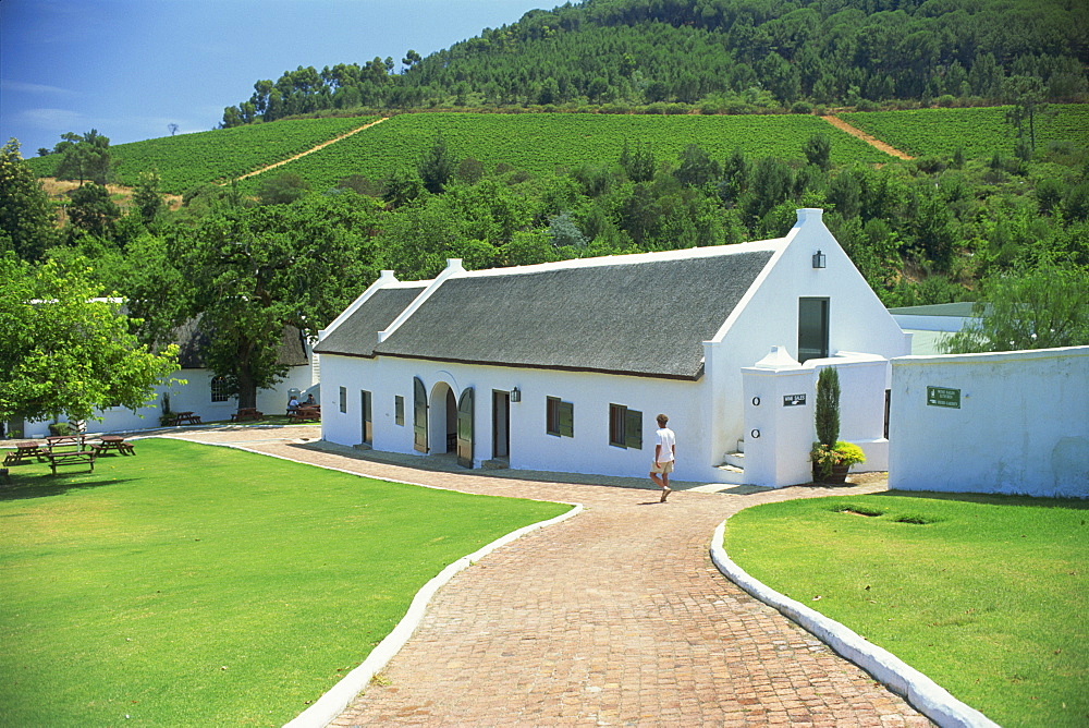 The Morgenhof Estate, Wine Region, Cape Province, South Africa, Africa